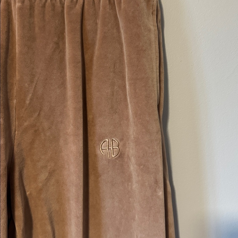 Anine Bing Sport Evan Velour Jogger - Picture 3 of 6